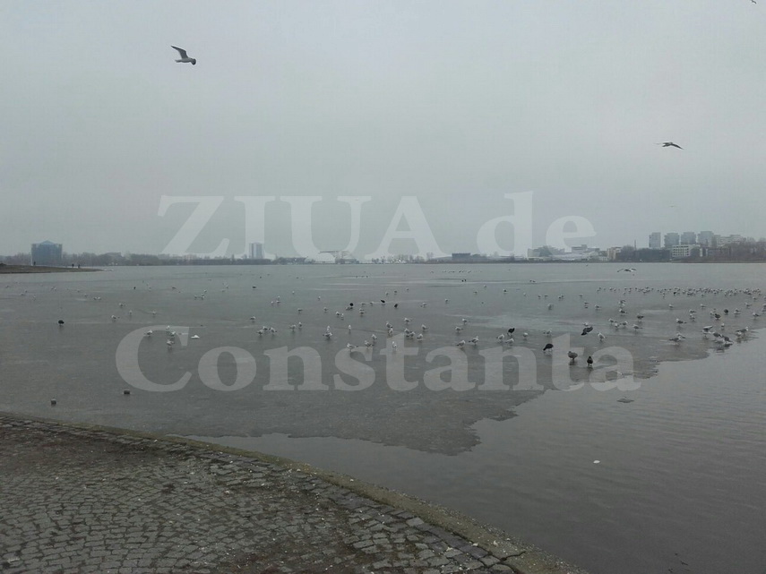 lacul tabacarie inghetat doar pe jumatate galerie foto video 580728 lacul tabacarie inghetat doar pe jumatate galerie foto video 580728