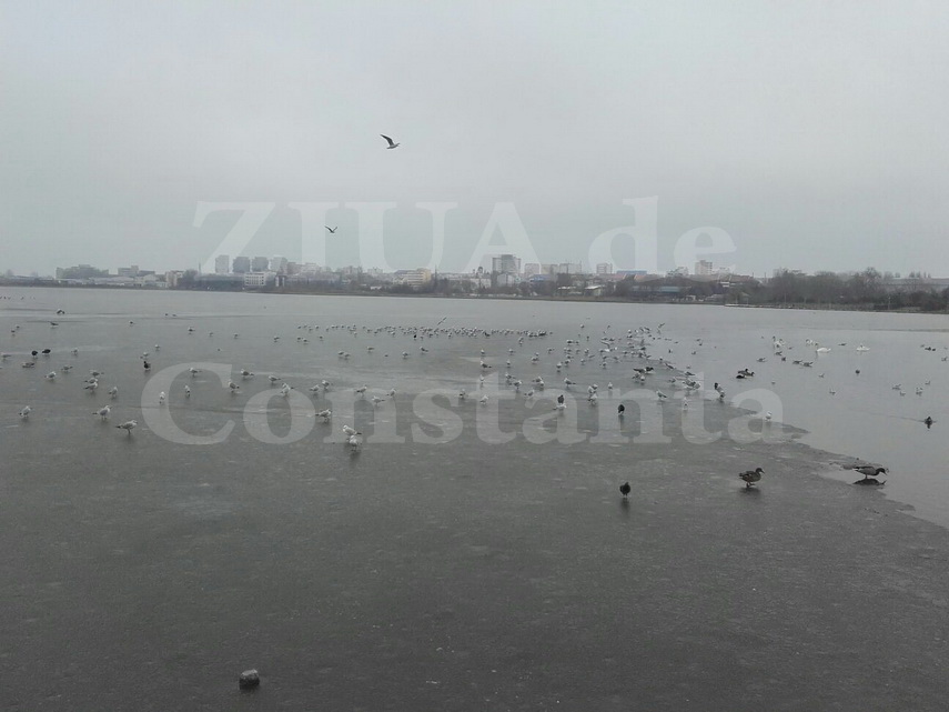 lacul tabacarie inghetat doar pe jumatate galerie foto video 580728 lacul tabacarie inghetat doar pe jumatate galerie foto video 580728