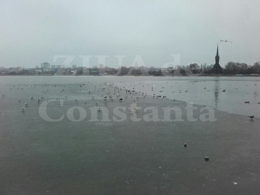 lacul tabacarie inghetat doar pe jumatate galerie foto video 580728 lacul tabacarie inghetat doar pe jumatate galerie foto video 580728