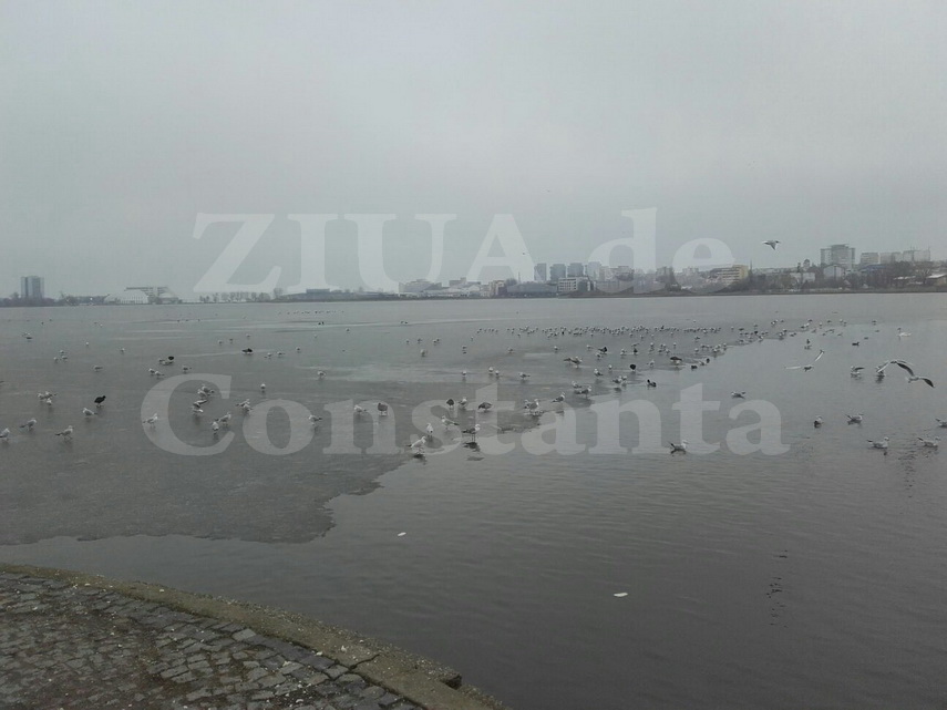 lacul tabacarie inghetat doar pe jumatate galerie foto video 580728 lacul tabacarie inghetat doar pe jumatate galerie foto video 580728