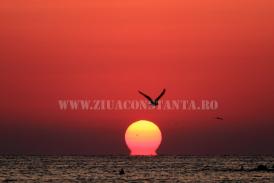 Centrul natura EXPERIENȚE ȘI REVELAȚII – după prima săptămână de ”practică”