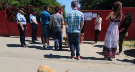 Victoria lui Bursuc Adio, Puppy Vet! Câinii fără stăpân, gestionaţi direct de angajaţii Primăriei şi de societatea civilă (document)