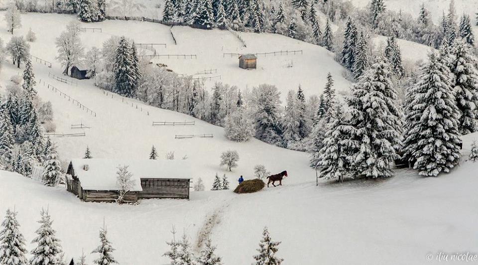 imagini spectaculoase iarna de poveste in luna februarie in romania galerie foto 581613 imagini spectaculoase iarna de poveste in luna februarie in romania galerie foto 581613