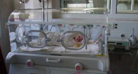 Sondaj de opinie Credeţi că ministrul Sănătăţii ar trebui să-şi dea demisia pentru ancheta eşuată în cazul decesului celor trei bebeluşi din Argeş?