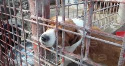 Sondaj de opinie 68% dintre respondenţi, de acord ca cea de-a doua biobază din Constanţa să fie amplasată pe strada Caraiman