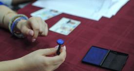 AEP - Cum vor fi desemnaţi preşedinţii birourilor electorale 