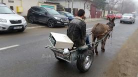 Măgarul și calculatorul pe străzile din Constanța