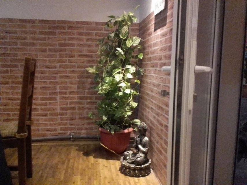 antico pizza buna la cuptorul pe lemne un antrenor de sporturi de contact din constanta si a deschis