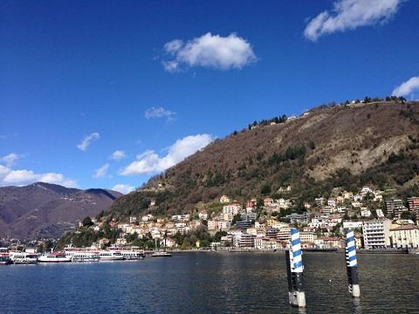 fostul portar al fc farul de ziua sa vlad neagu i a cerut mana anamariei cristea in fata domului din fostul portar al fc farul de ziua sa vlad neagu i a cerut mana anamariei cristea in fata domului din