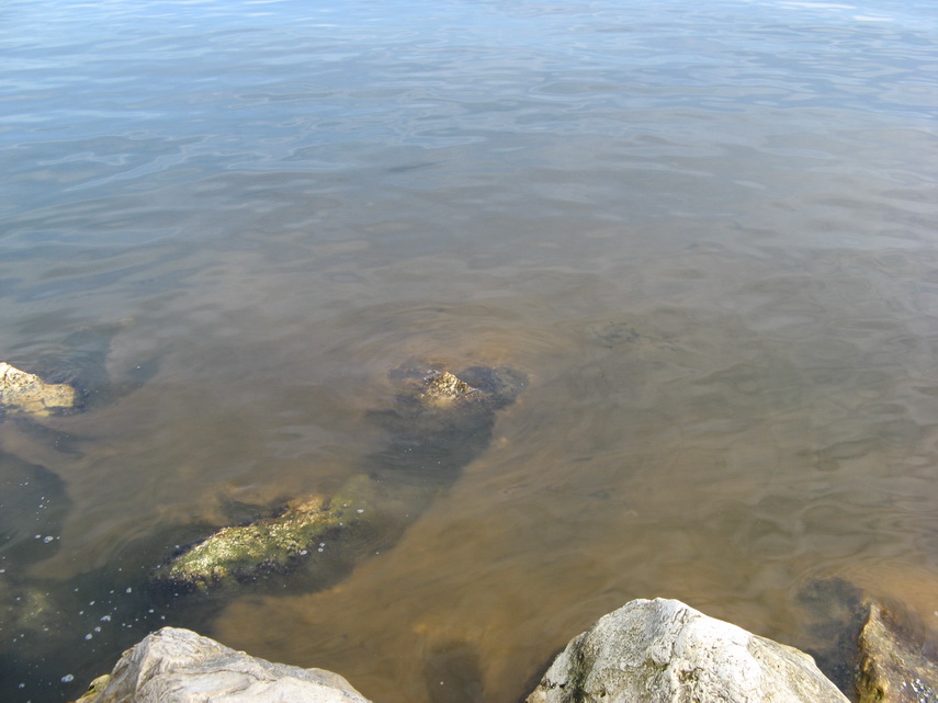 fenomen spectaculos pe plajele din constanta cum si cand este marea neagra fosforescenta galerie foto fenomen spectaculos pe plajele din constanta cum si cand este marea neagra fosforescenta galerie foto