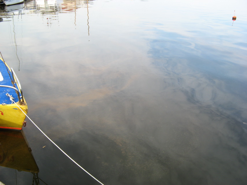 fenomen spectaculos pe plajele din constanta cum si cand este marea neagra fosforescenta galerie foto fenomen spectaculos pe plajele din constanta cum si cand este marea neagra fosforescenta galerie foto