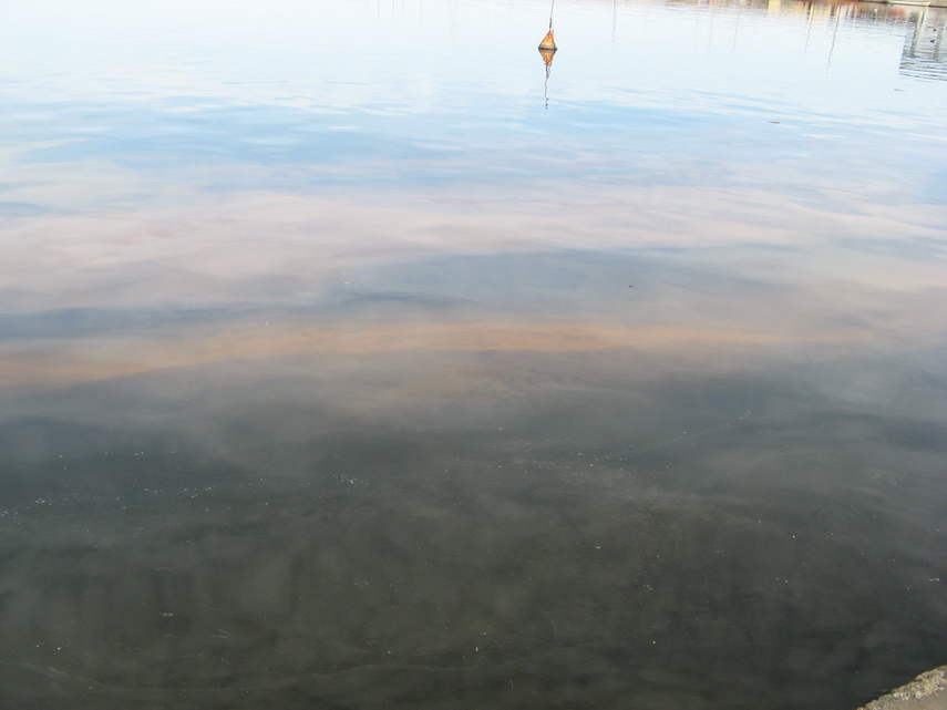 fenomen spectaculos pe plajele din constanta cum si cand este marea neagra fosforescenta galerie foto fenomen spectaculos pe plajele din constanta cum si cand este marea neagra fosforescenta galerie foto