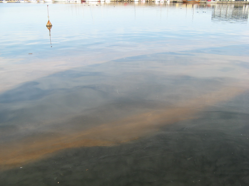 fenomen spectaculos pe plajele din constanta cum si cand este marea neagra fosforescenta galerie foto fenomen spectaculos pe plajele din constanta cum si cand este marea neagra fosforescenta galerie foto