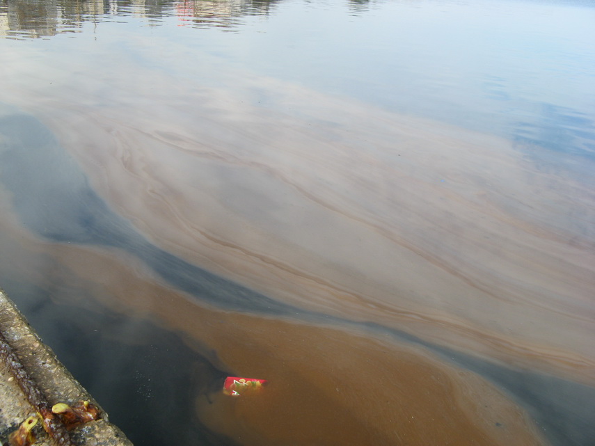 fenomen spectaculos pe plajele din constanta cum si cand este marea neagra fosforescenta galerie foto fenomen spectaculos pe plajele din constanta cum si cand este marea neagra fosforescenta galerie foto