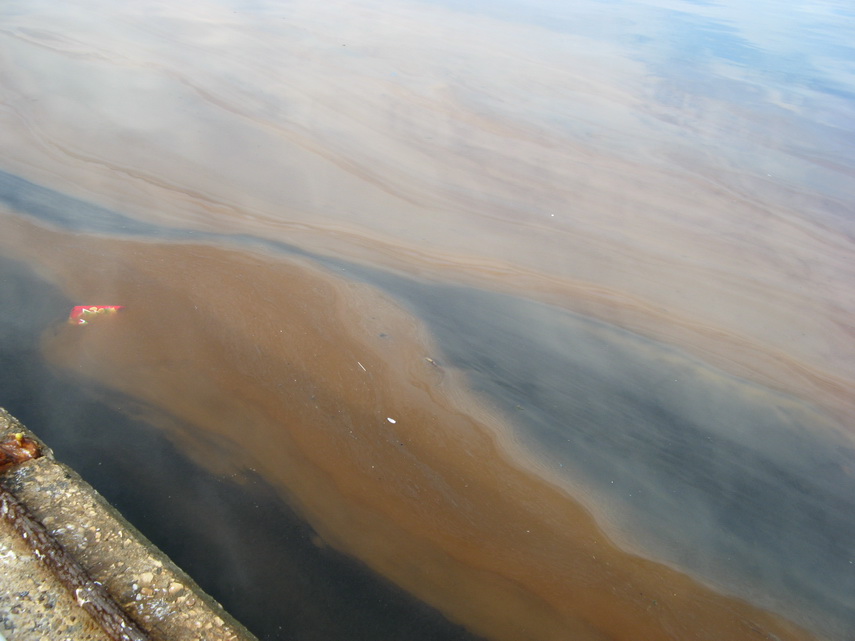 fenomen spectaculos pe plajele din constanta cum si cand este marea neagra fosforescenta galerie foto fenomen spectaculos pe plajele din constanta cum si cand este marea neagra fosforescenta galerie foto