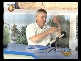 EXCLUSIV Liberalii vor să recâștige Primăria Medgidia cu Marian Odor. Iordache, tras pe linie moartă, merge la Consiliul Județean 