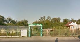 Mihaela Elvira Gherasim este cenzor supleant Pomacost ar putea decide schimbarea cenzorilor la următoarea adunare generală 