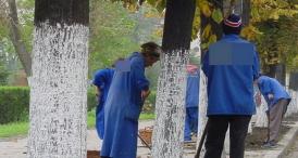 Asfaltarea străzilor mai are de aşteptat… Începe curăţenia de primăvară în comuna Cobadin