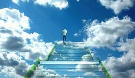 Bancul zilei  Scopul vieţii