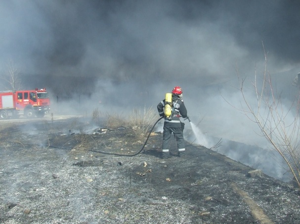 incendiile de vegetatie un pericol pentru viata bunuri materiale si mediu galerie foto 590947 incendiile de vegetatie un pericol pentru viata bunuri materiale si mediu galerie foto 590947