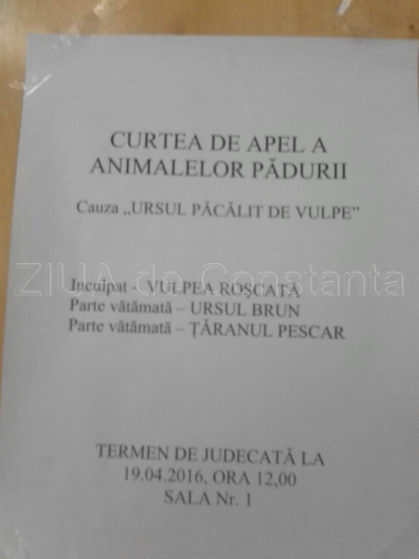 elevii de la scoala gheorghe titeica implicati intr un proces inedit la curtea de apel constanta galerie elevii de la scoala gheorghe titeica implicati intr un proces inedit la curtea de apel constanta galerie