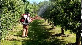 Green Master SRL furnizează produse agrochimice pentru pepinierele Agigea și Mamaia (document)