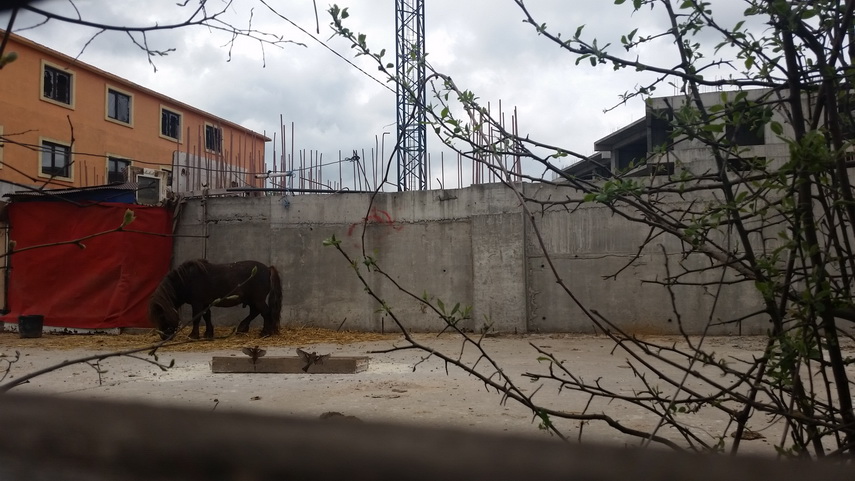 central apartments proiectul inceput de westhouse group in locul unui ansamblu rezidential de lux niste central apartments proiectul inceput de westhouse group in locul unui ansamblu rezidential de lux niste