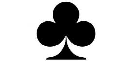 Lista candidaților propusă de Partida Romilor Pro Europa în CLM Constanța