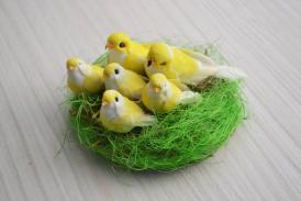 Creative life Decorează-ți casa și grădina cu cele mai frumoase produse realizate manual