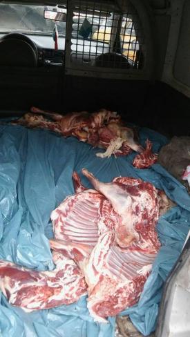 UPDATE. Poliţiştii au luat la verificat pieţele din Constanţa    