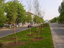 Avocatul Cristian Ion transformă Constanța într-o viitoare mireasă. „Candidații la funcția de primar îi plantează păr...pe picioare“  