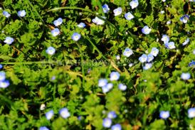 Centrul natura SĂPTĂMÂNA NATURALEȚII