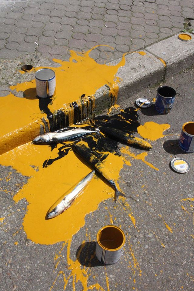 fratele paulei seling a fost prins de politisti in timp ce vandaliza un magazin galerie foto 592626