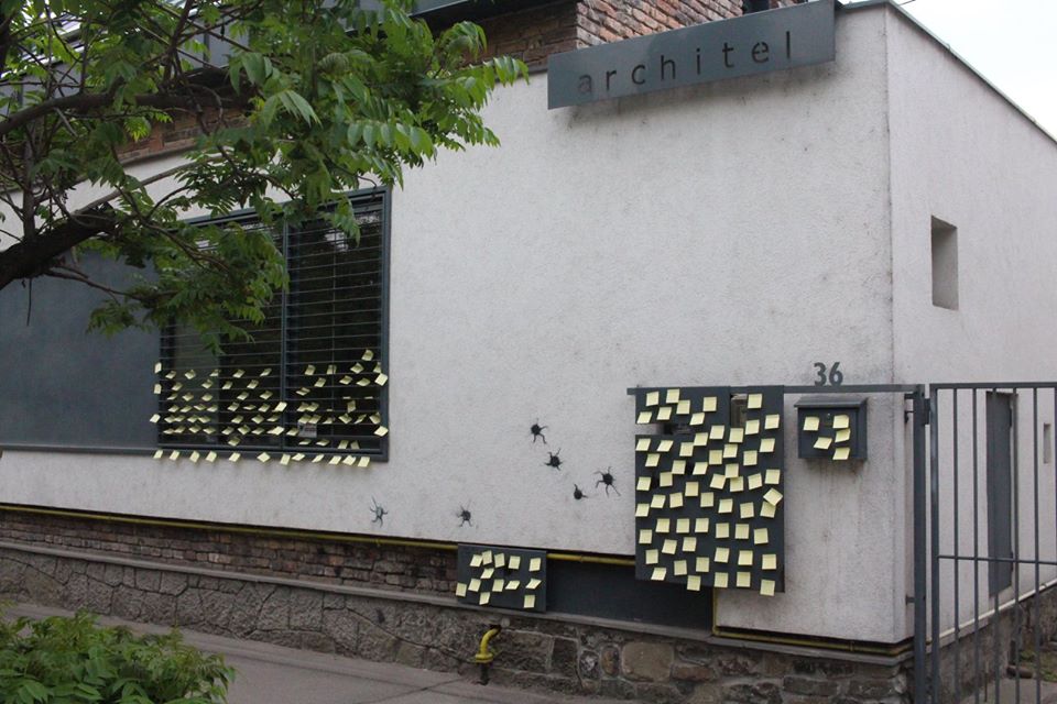 fratele paulei seling a fost prins de politisti in timp ce vandaliza un magazin galerie foto 592626