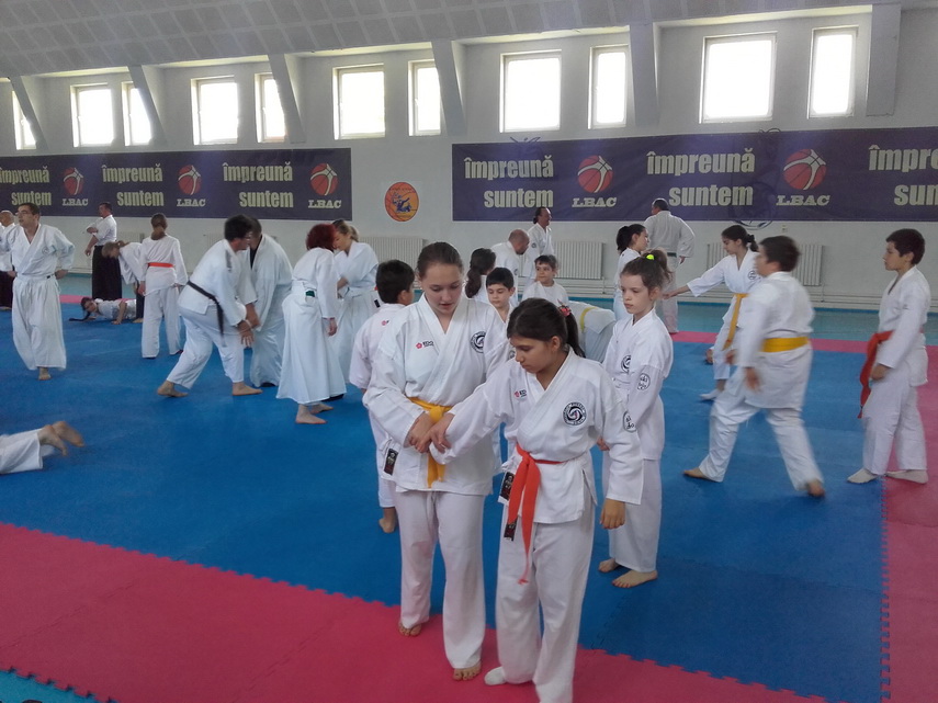 maestrul este la constanta inspirat de un film sa practice aikido shihan dan corneliu ionescu a devenit maestrul este la constanta inspirat de un film sa practice aikido shihan dan corneliu ionescu a devenit