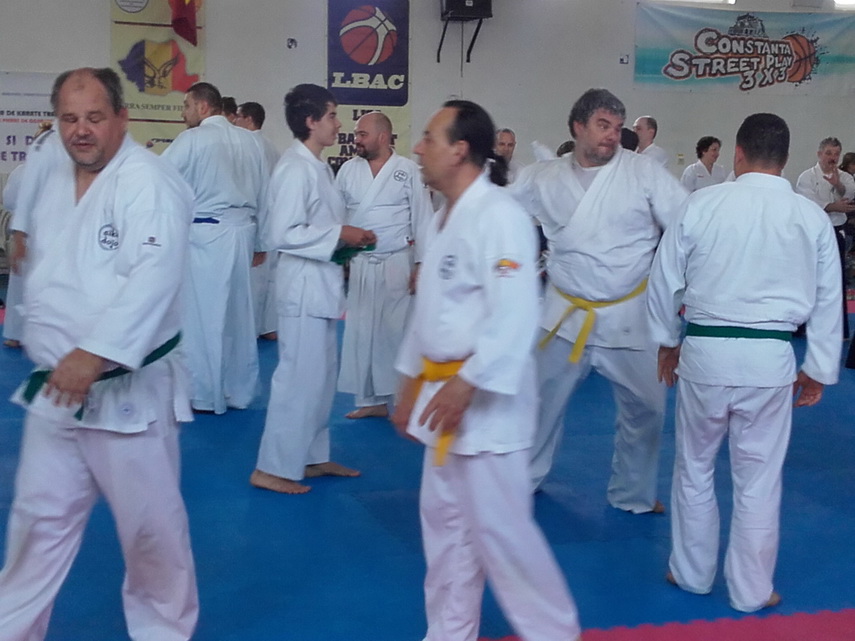 maestrul este la constanta inspirat de un film sa practice aikido shihan dan corneliu ionescu a devenit maestrul este la constanta inspirat de un film sa practice aikido shihan dan corneliu ionescu a devenit