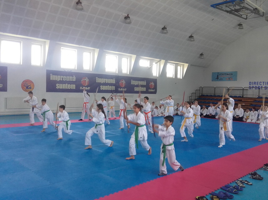 maestrul este la constanta inspirat de un film sa practice aikido shihan dan corneliu ionescu a devenit maestrul este la constanta inspirat de un film sa practice aikido shihan dan corneliu ionescu a devenit