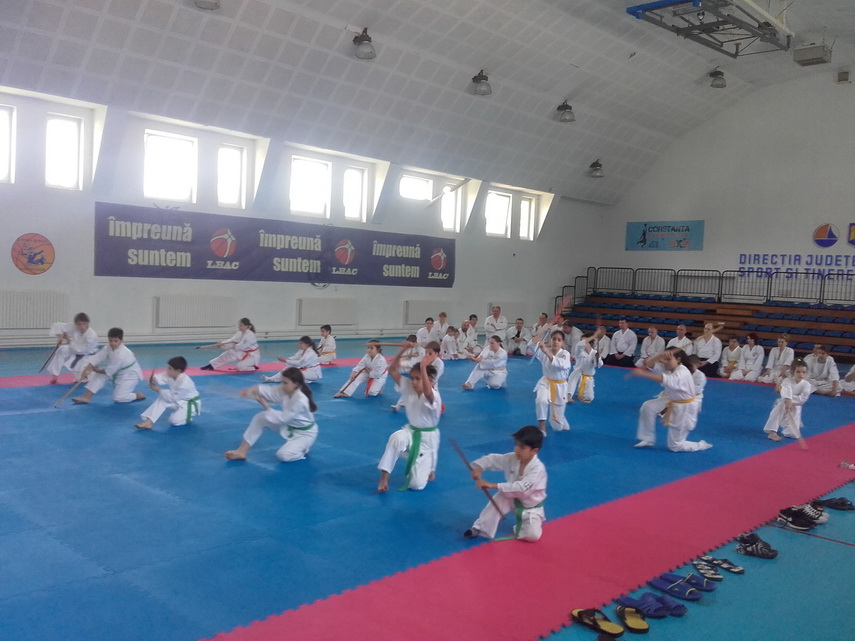 maestrul este la constanta inspirat de un film sa practice aikido shihan dan corneliu ionescu a devenit maestrul este la constanta inspirat de un film sa practice aikido shihan dan corneliu ionescu a devenit