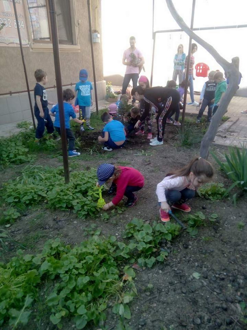 gradinite private de stat sau centre de dezvoltare timpurie galerie foto 593382 gradinite private de stat sau centre de dezvoltare timpurie galerie foto 593382