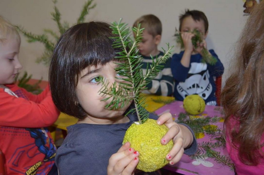 gradinite private de stat sau centre de dezvoltare timpurie galerie foto 593382 gradinite private de stat sau centre de dezvoltare timpurie galerie foto 593382