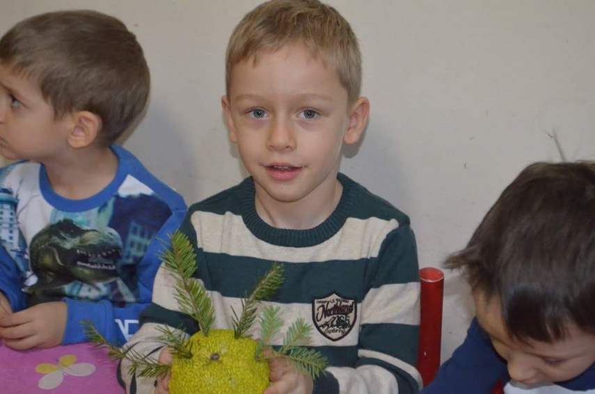 gradinite private de stat sau centre de dezvoltare timpurie galerie foto 593382 gradinite private de stat sau centre de dezvoltare timpurie galerie foto 593382