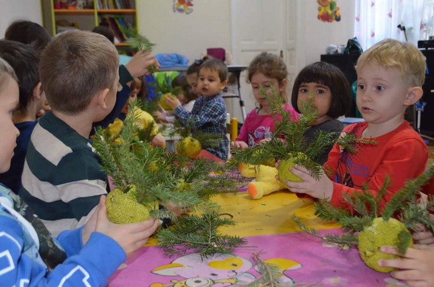 gradinite private de stat sau centre de dezvoltare timpurie galerie foto 593382 gradinite private de stat sau centre de dezvoltare timpurie galerie foto 593382