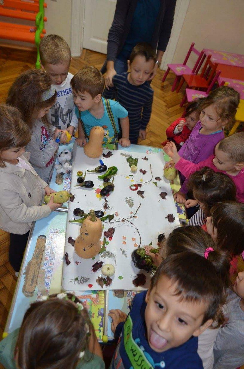 gradinite private de stat sau centre de dezvoltare timpurie galerie foto 593382 gradinite private de stat sau centre de dezvoltare timpurie galerie foto 593382