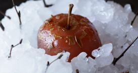 umblat.ro Culinary Cinema, un motiv în plus să fii la TIFF! 