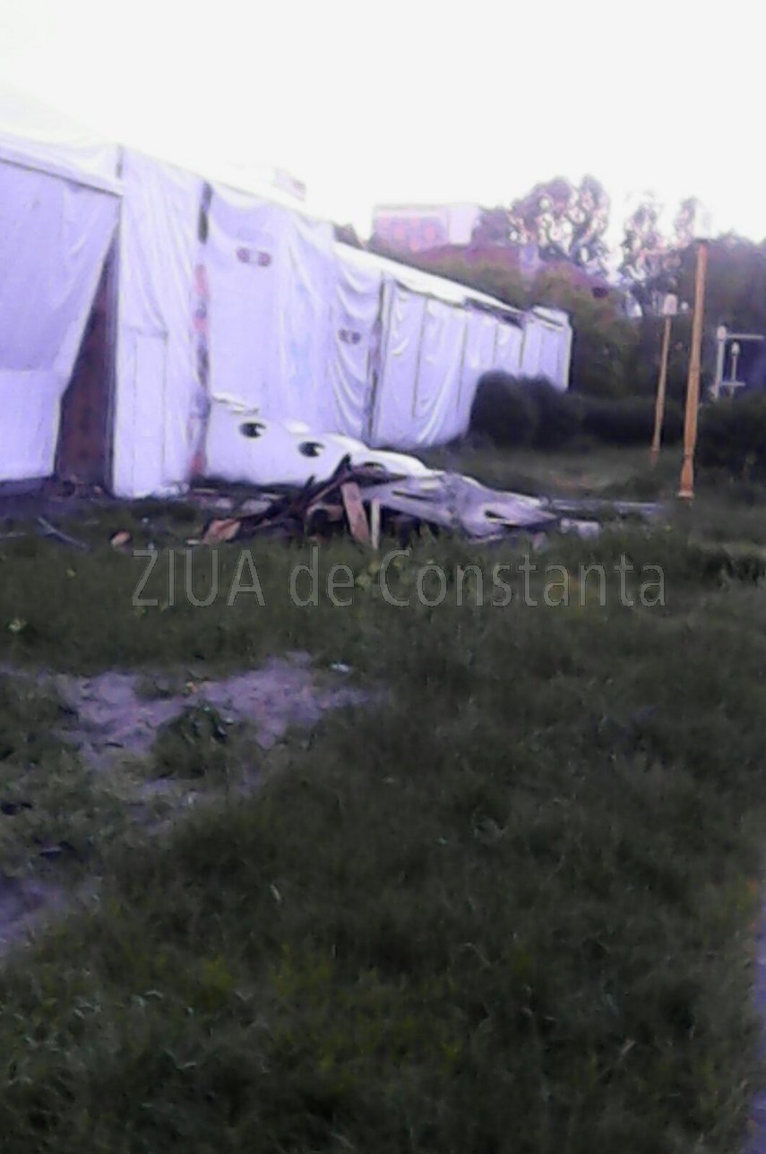 buruienile logicii merge si asa inca troneaza peste statiunea mamaia ar fi bine ca turistii sa nu se buruienile logicii merge si asa inca troneaza peste statiunea mamaia ar fi bine ca turistii sa nu se