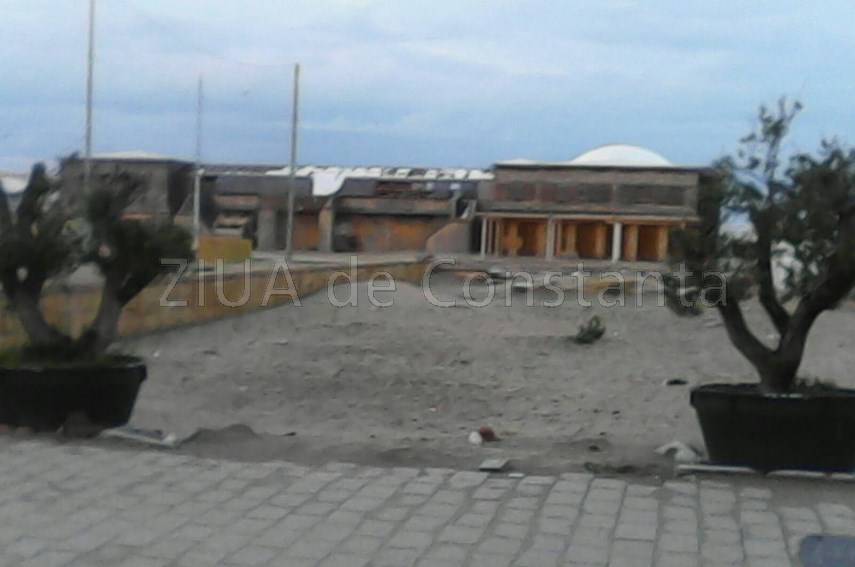 buruienile logicii merge si asa inca troneaza peste statiunea mamaia ar fi bine ca turistii sa nu se buruienile logicii merge si asa inca troneaza peste statiunea mamaia ar fi bine ca turistii sa nu se