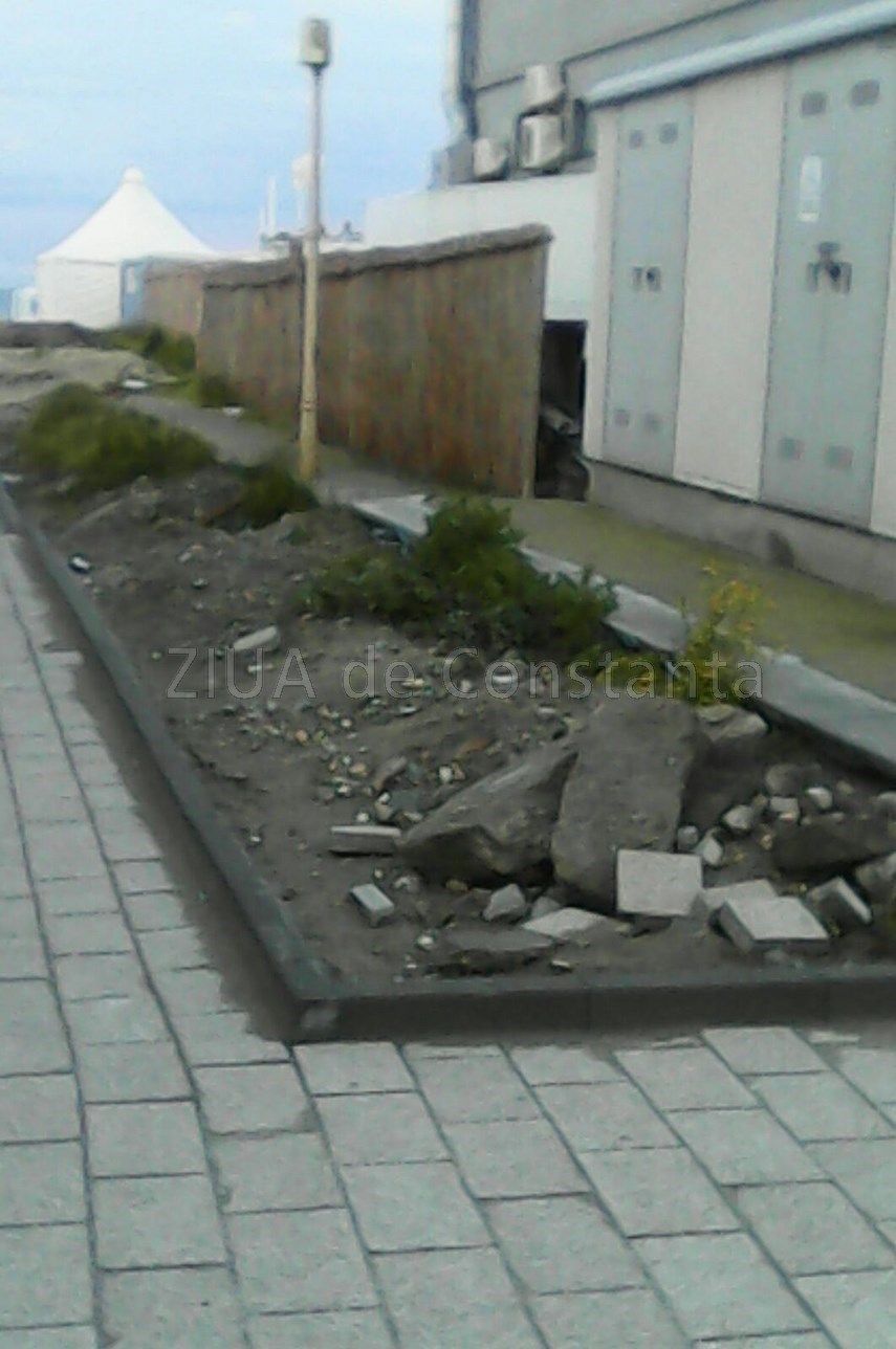 buruienile logicii merge si asa inca troneaza peste statiunea mamaia ar fi bine ca turistii sa nu se buruienile logicii merge si asa inca troneaza peste statiunea mamaia ar fi bine ca turistii sa nu se