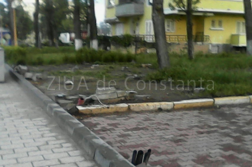 buruienile logicii merge si asa inca troneaza peste statiunea mamaia ar fi bine ca turistii sa nu se buruienile logicii merge si asa inca troneaza peste statiunea mamaia ar fi bine ca turistii sa nu se