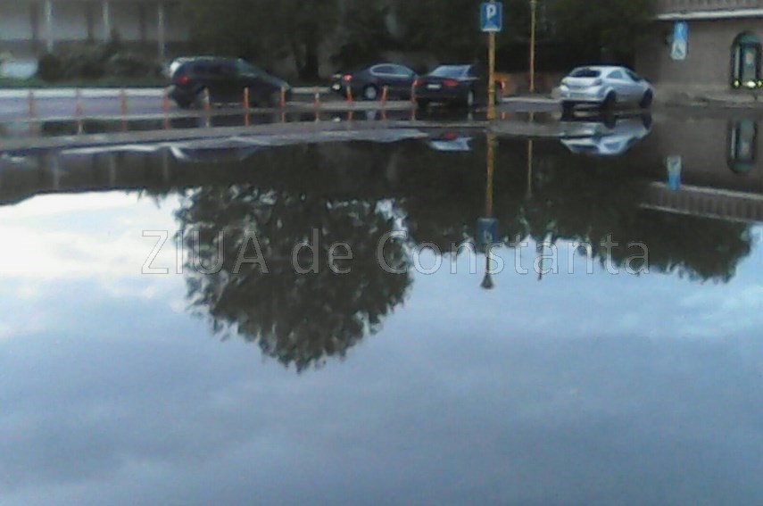 buruienile logicii merge si asa inca troneaza peste statiunea mamaia ar fi bine ca turistii sa nu se buruienile logicii merge si asa inca troneaza peste statiunea mamaia ar fi bine ca turistii sa nu se