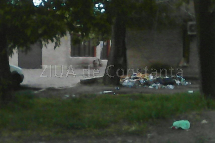 buruienile logicii merge si asa inca troneaza peste statiunea mamaia ar fi bine ca turistii sa nu se buruienile logicii merge si asa inca troneaza peste statiunea mamaia ar fi bine ca turistii sa nu se